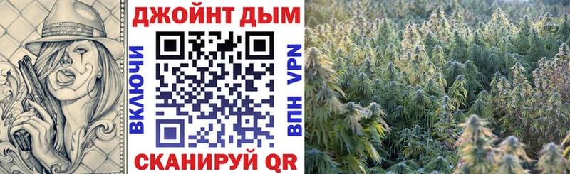 Шишки марихуана гибрид Опочка